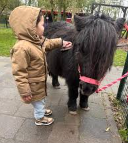 Kaatje-Kinderboerderij de Heij Rotterdam